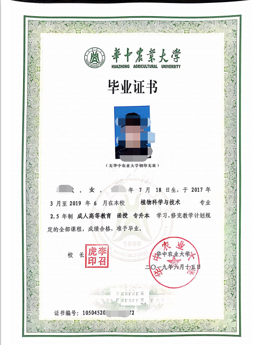 1-2006301920115L