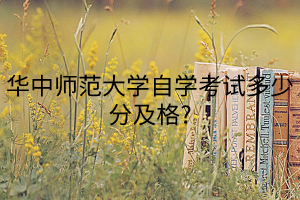 华中师范大学自学考试考多少分算及格？